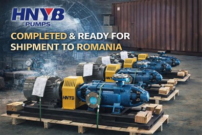 HNYB DÆLUR lýkur með góðum árangri framleiðslu og sendingarundirbúningi á lár...